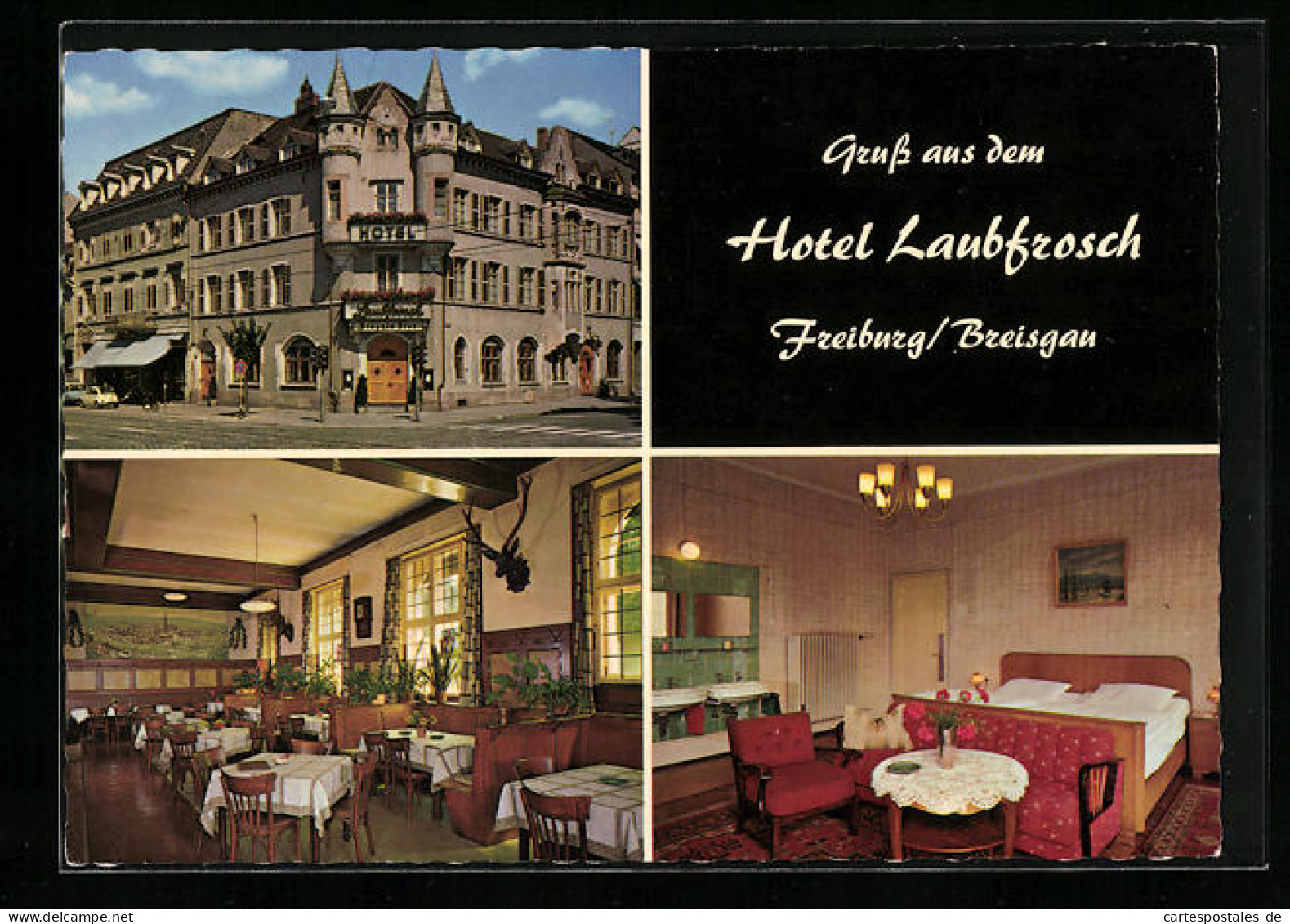 AK Freiburg /Br., Hotel Laubfrosch, Bes. Carl Kiechle, Kaiser Josephstrasse 273  - Freiburg I. Br.