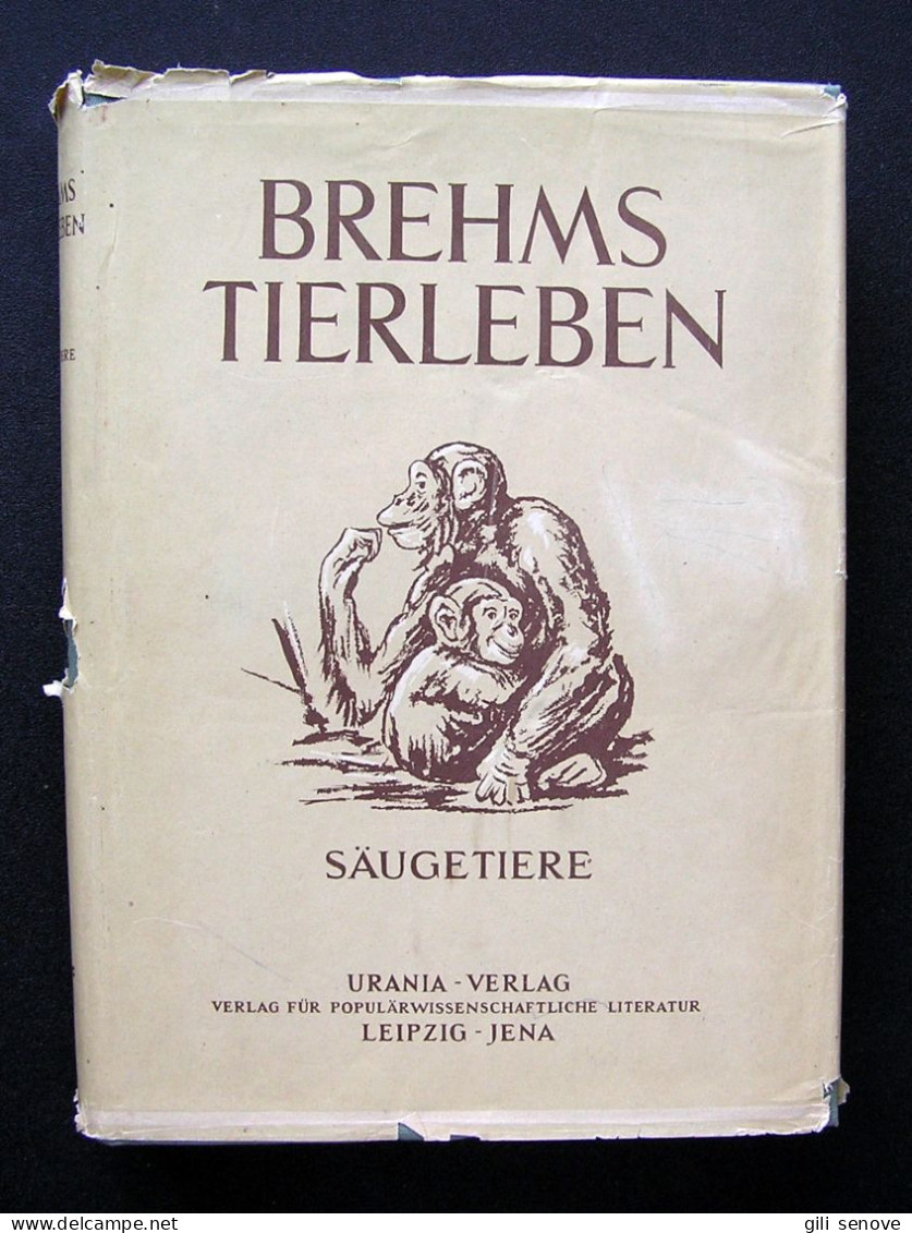 Brehms Tierleben Band 4: Säugetiere 1956 - Livres Anciens