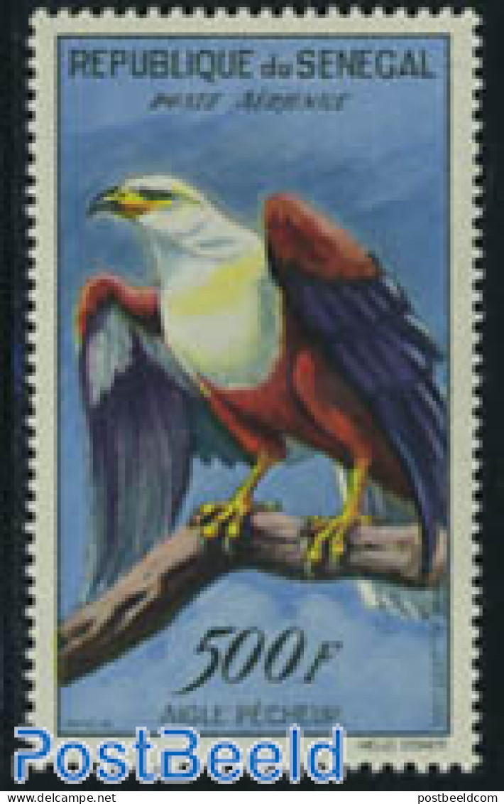 Senegal 1960 500F, Stamp Out Of Set, Mint NH, Nature - Birds - Senegal (1960-...)
