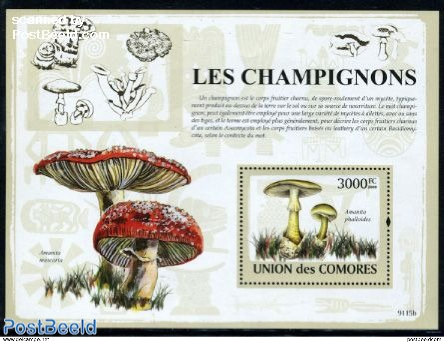 Comoros 2009 Mushrooms S/s, Mint NH, Nature - Mushrooms - Funghi