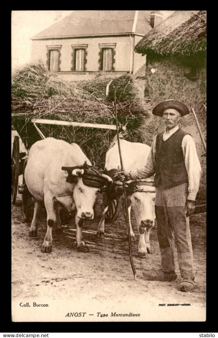 71 - ANOST - TYPE MORVANDIAUX - BOEUFS ATTELES - Autres & Non Classés