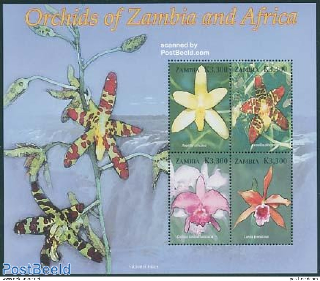 Zambia 2005 Orchids 4v M/s, Ansellia Africana, Mint NH, Nature - Flowers & Plants - Orchids - Zambie (1965-...)