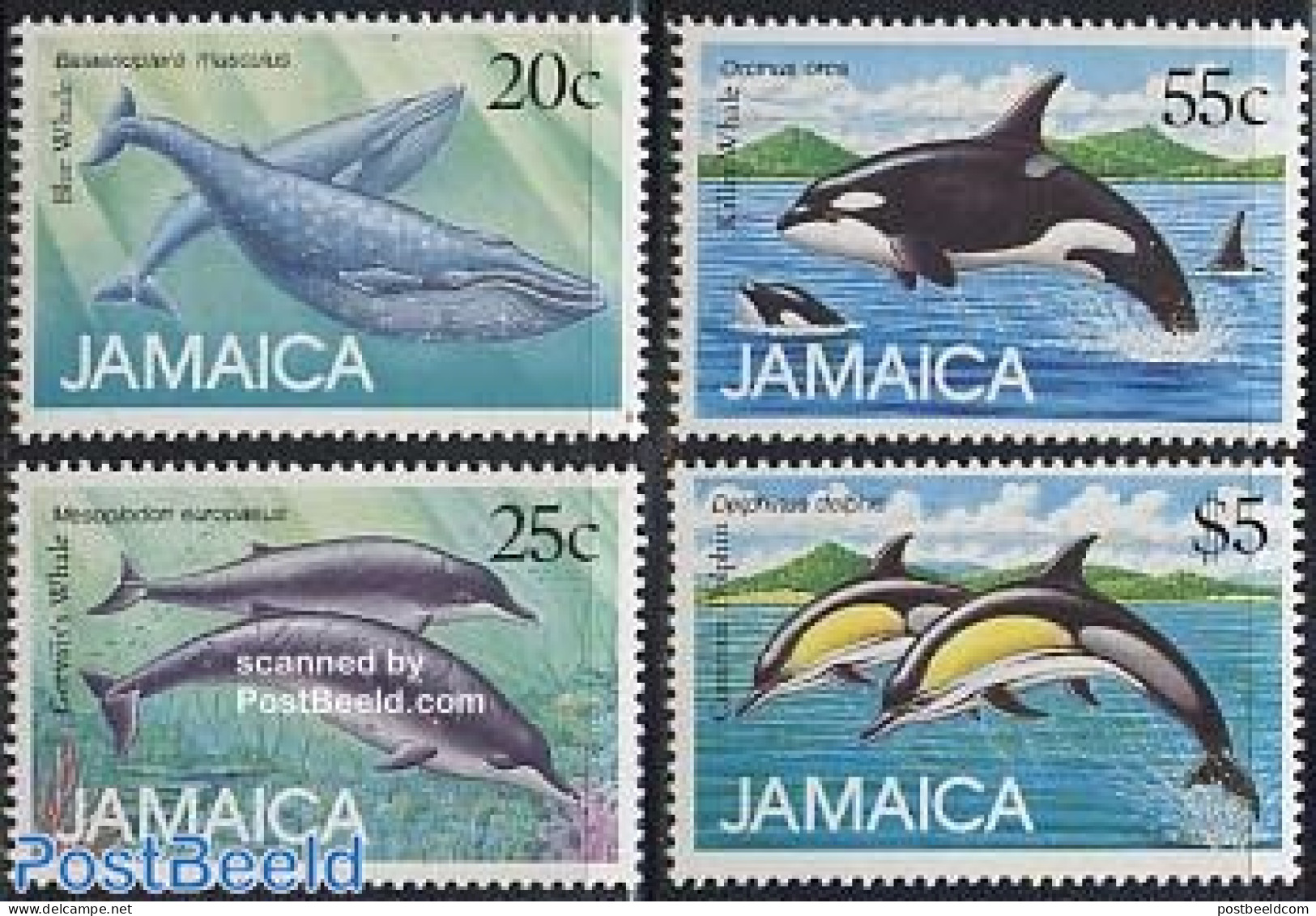 Jamaica 1988 Whales And Dolphins 4V, Mint NH, Nature - Sea Mammals - Jamaique (1962-...)