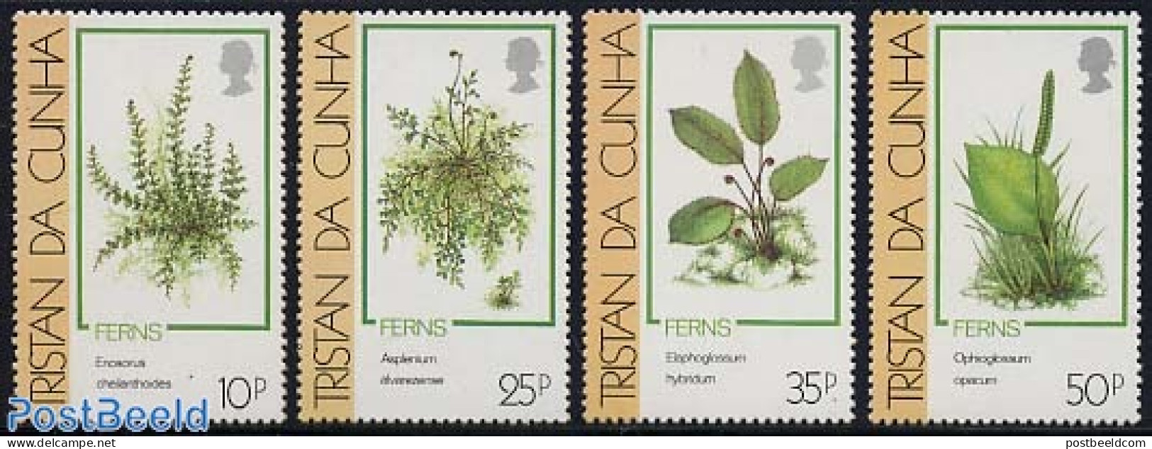 Tristan Da Cunha 1989 Ferns 4v, Mint NH, Nature - Flowers & Plants - Tristan Da Cunha