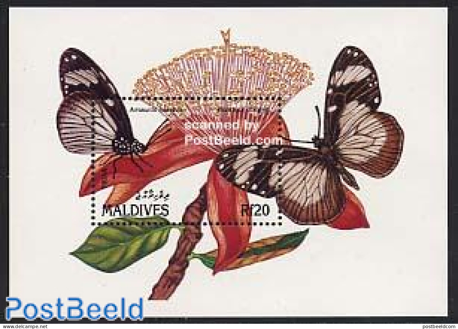 Maldives 1991 Amauris Niavius S/s, Mint NH, Nature - Butterflies - Flowers & Plants - Maldives (1965-...)