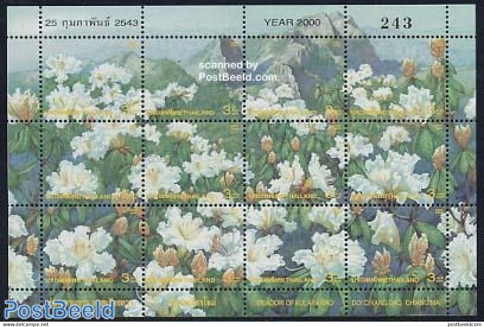 Thailand 2000 Doi Chiang Dao Mountains 12v M/s, Mint NH, Nature - Sport - Various - Flowers & Plants - Mountains & Mou.. - Bergsteigen