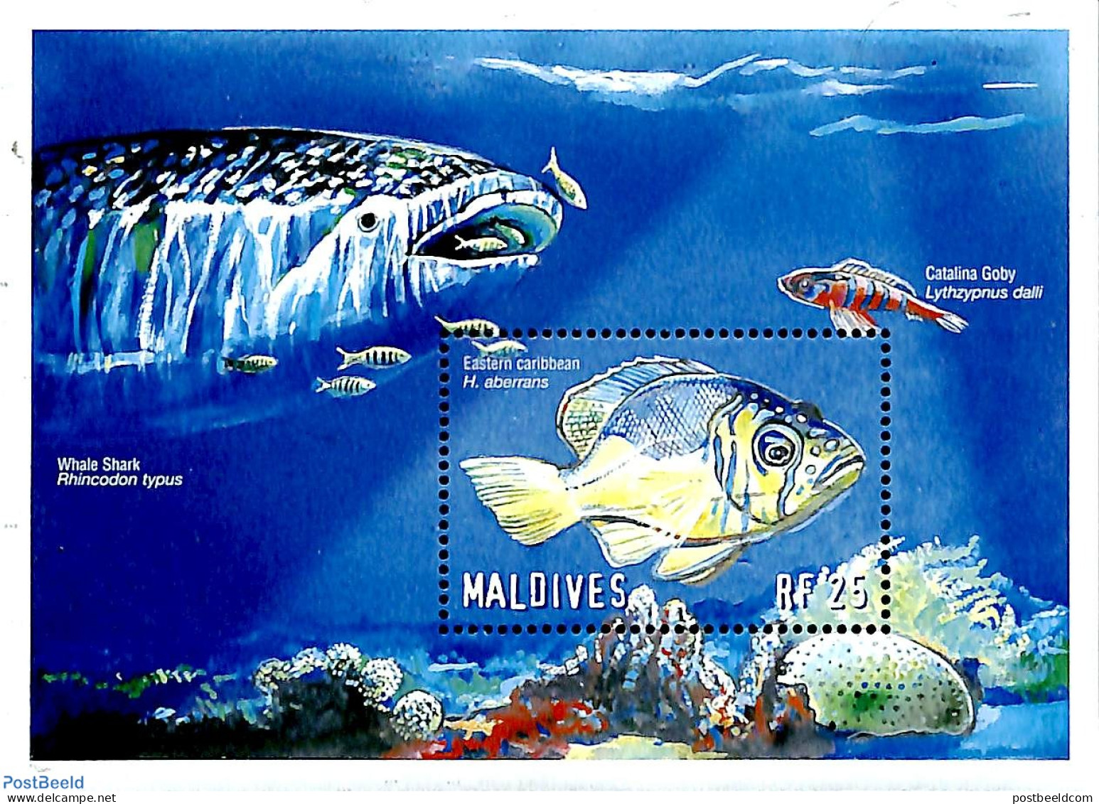 Maldives 2000 Fish S/s, Mint NH, Nature - Fish - Poissons