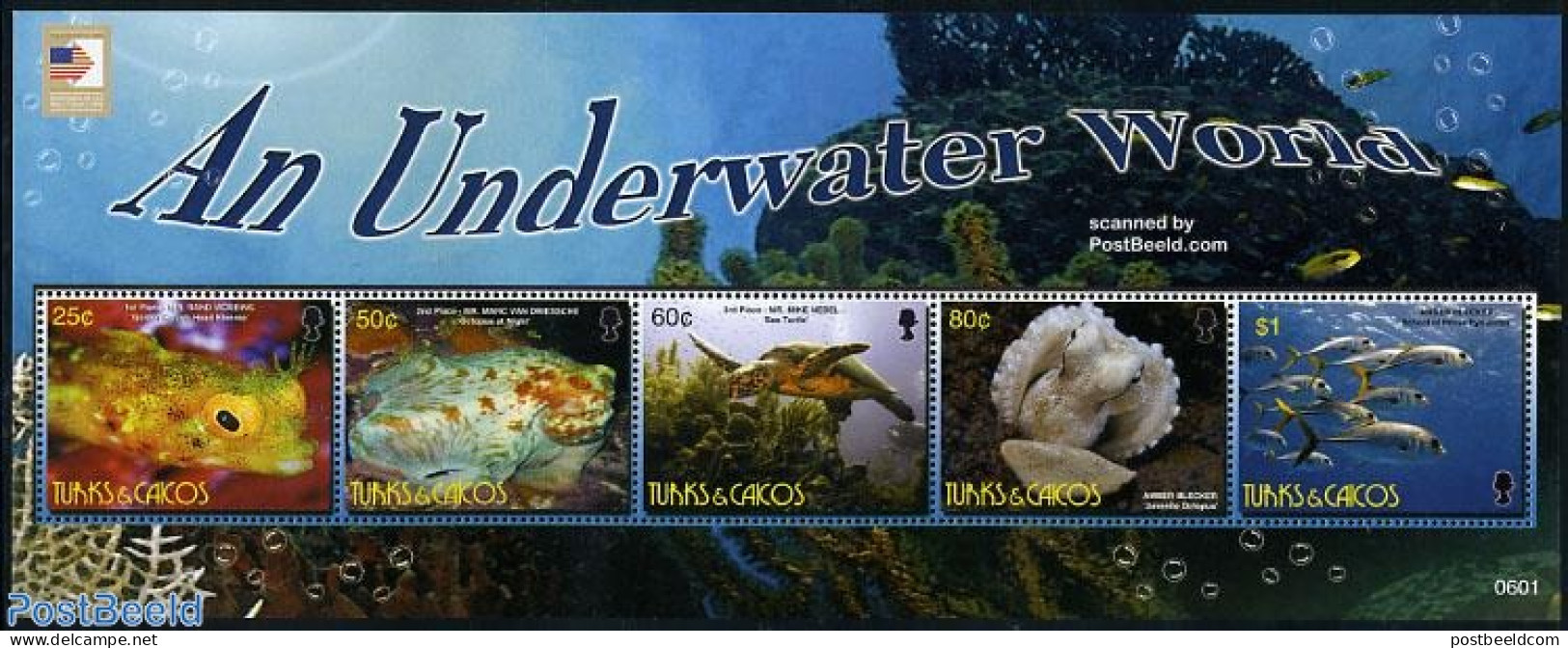 Turks And Caicos Islands 2006 Underwater World, Washington 5v M/s, Mint NH, Nature - Fish - Reptiles - Turtles - Poissons