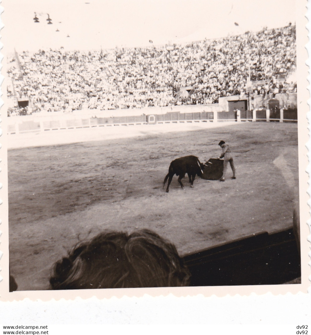 HERAULT BEZIERS CORRIDA 1965 SUITE DE DEUX PHOTOS (TAUROMACHIE FRANCE, TAUREAU, TOREADOR) - Sport