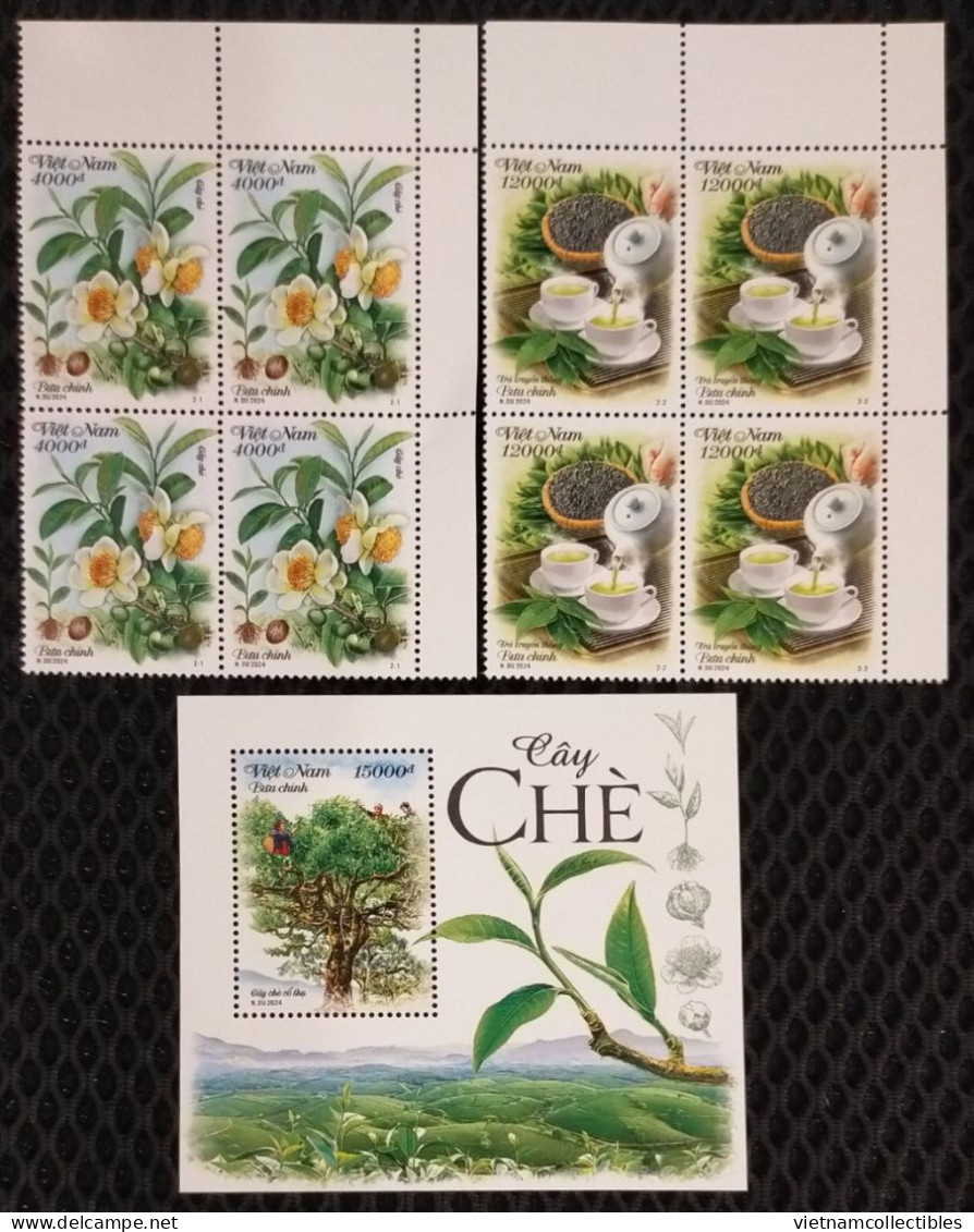 Viet Nam Vietnam MNH Perf Stamps In Blocks 4 & A Souvenir Sheet 2024 : TEA PLANT / Flora / Flower / Fruit (Ms1190) - Vietnam