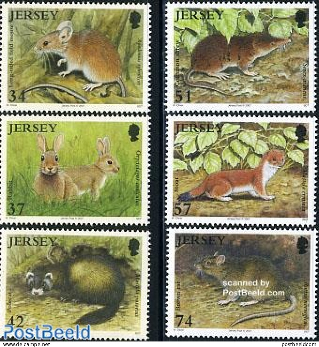 Jersey 2007 Countryside Animals 6v, Mint NH, Nature - Animals (others & Mixed) - Rabbits / Hares - Jersey