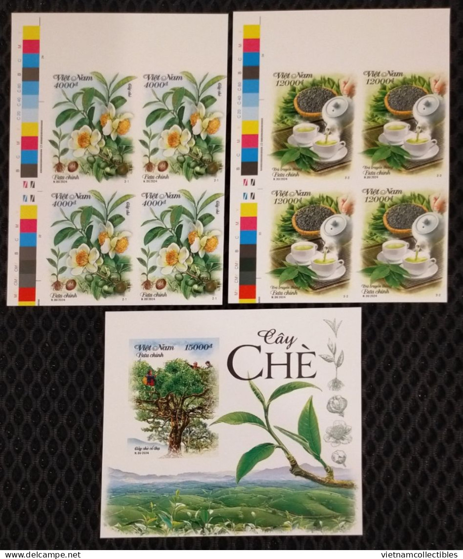 Viet Nam Vietnam MNH Imperf Stamps In Blocks 4 & A Souvenir Sheet 2024 : TEA PLANT / Flora / Flower / Fruit (Ms1190) - Viêt-Nam