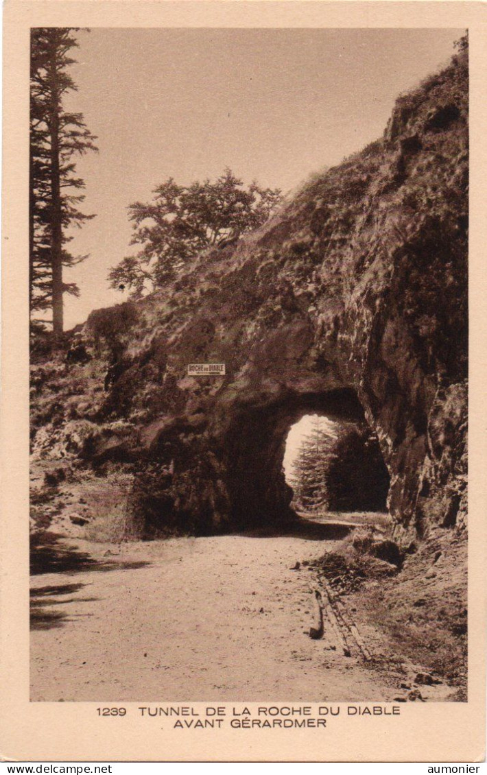 GERARDMER ( 88 ) - Tunnel De La Roche Du Diable - Gerardmer
