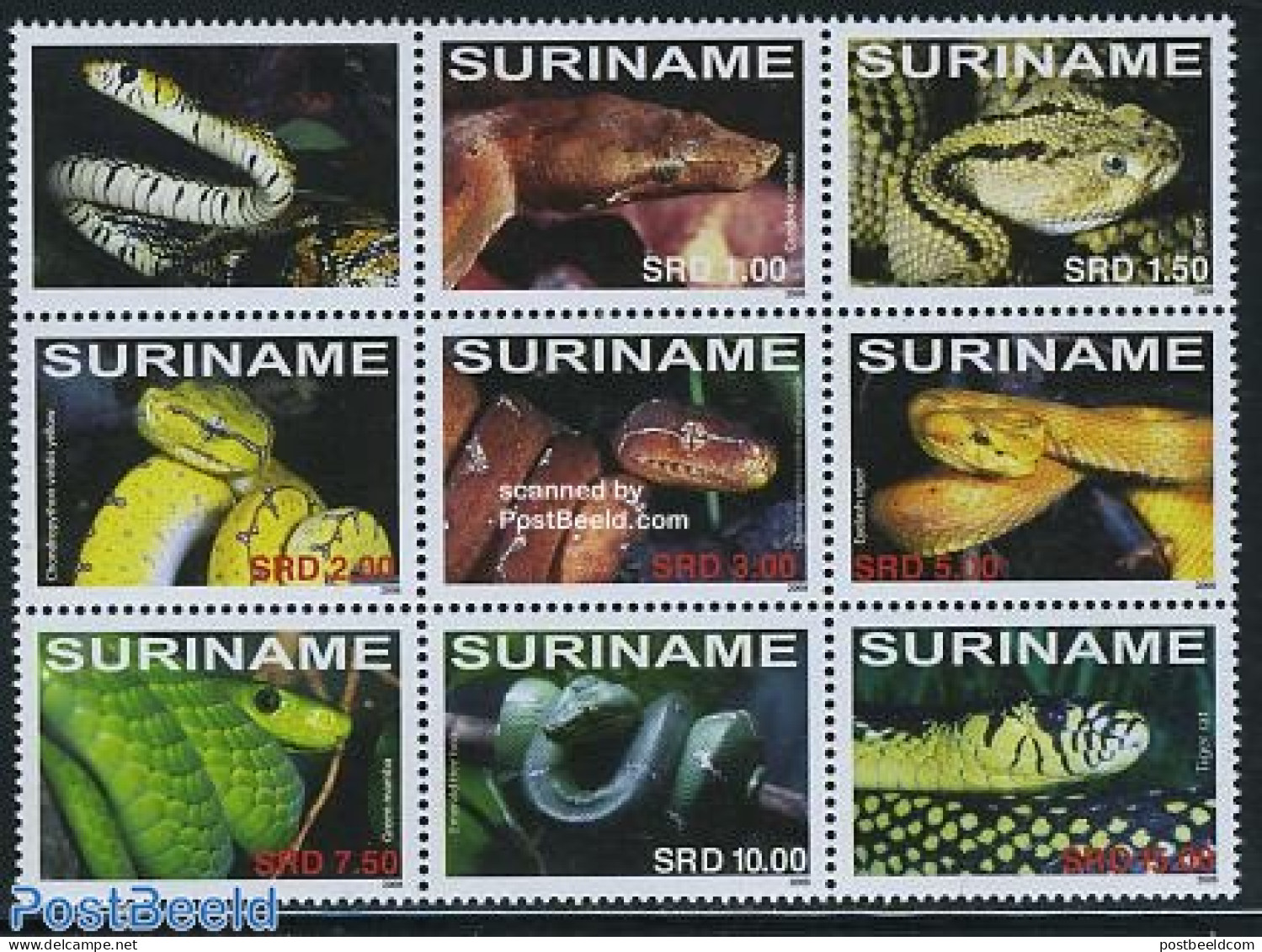 Suriname, Republic 2008 Snakes 8v Sheetlet, Mint NH, Nature - Reptiles - Snakes - Surinam
