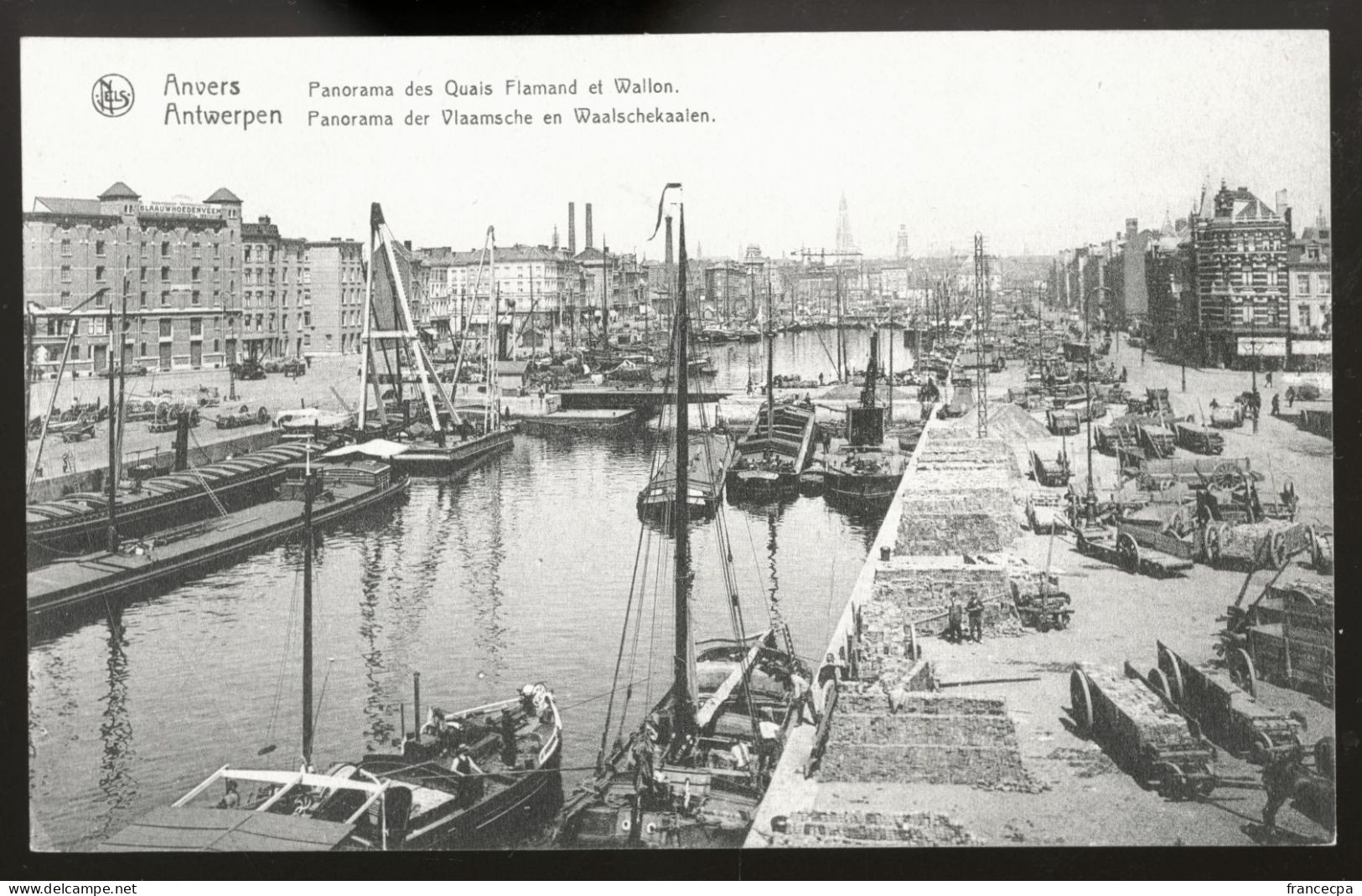 966 - BELGIQUE - ANVERS - Panorama Des Quais Flamand Et Wallon - Antwerpen