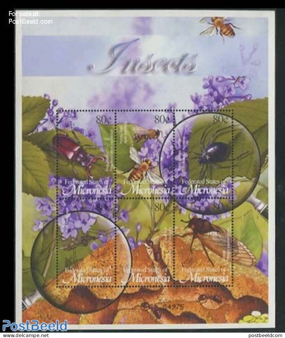 Micronesia 2002 Insects & Spiders 6v M/s, Mint NH, Nature - Animals (others & Mixed) - Insects - Micronésie