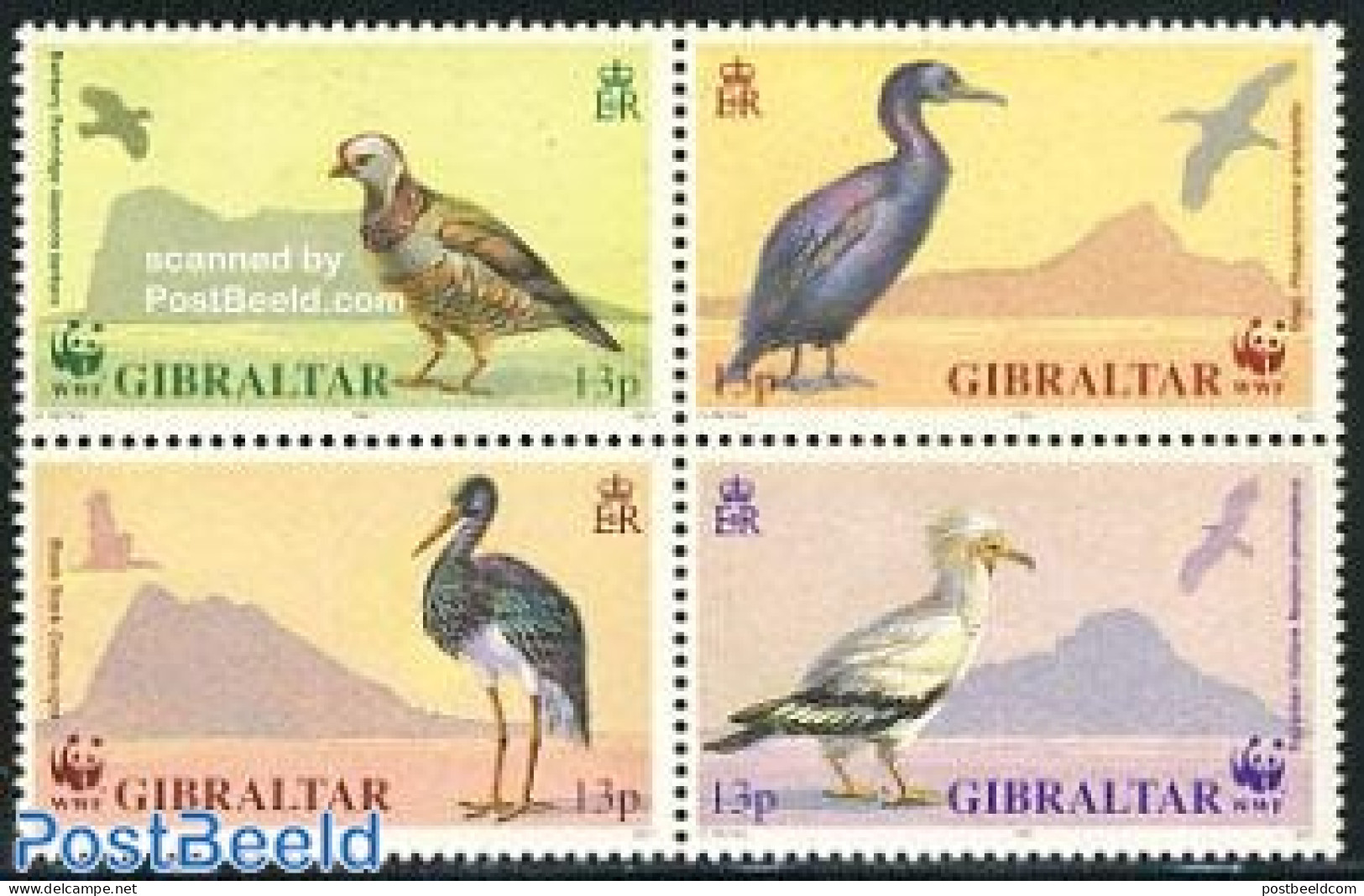 Gibraltar 1991 WWF, Birds 4v [+] Or [:::], Mint NH, Nature - Birds - World Wildlife Fund (WWF) - Gibraltar