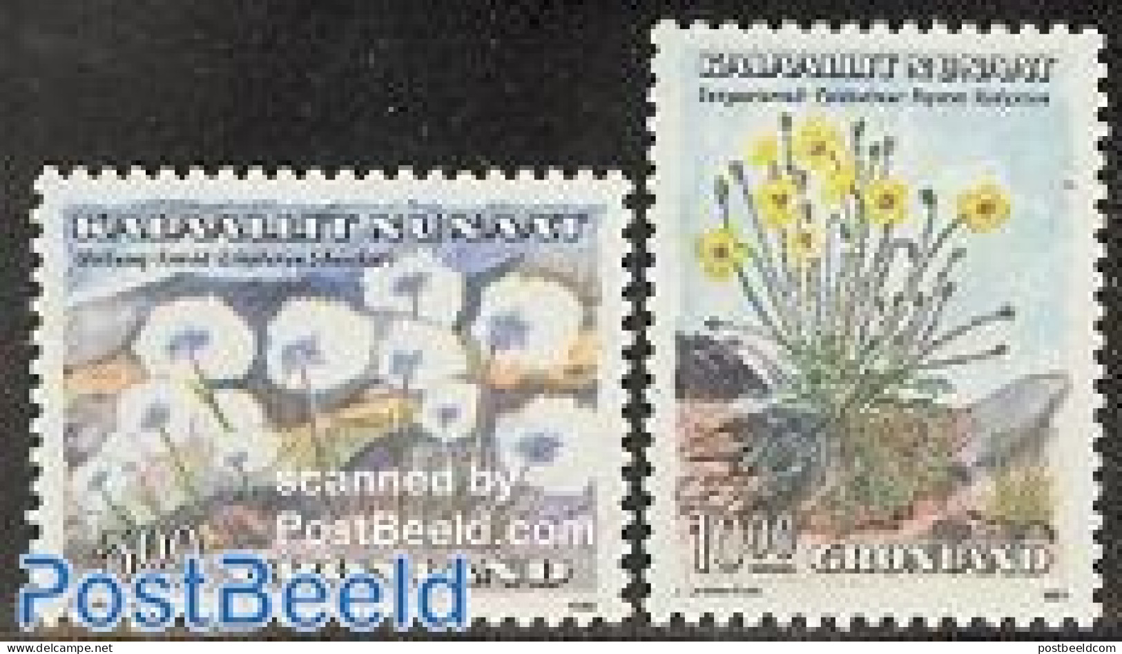 Greenland 1989 Flowers 2v, Mint NH, Nature - Flowers & Plants - Ongebruikt