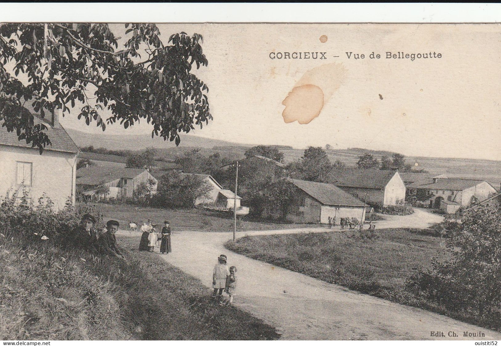 Corcieux Vue Bellegoutte  ( Animee )  ( Taches Brunes ) ( Edition Moulin ) - Corcieux