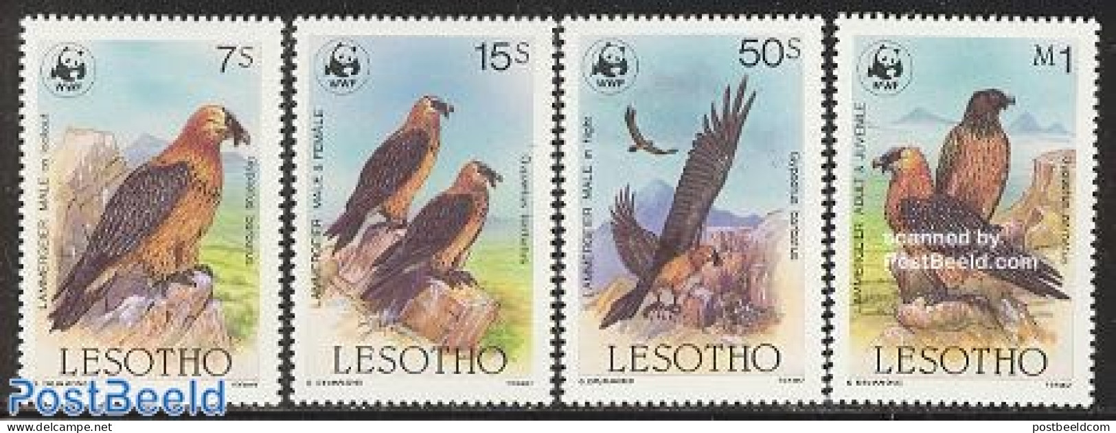 Lesotho 1986 WWF, Vultures 4v, Mint NH, Nature - Birds - Birds Of Prey - World Wildlife Fund (WWF) - Lesotho (1966-...)