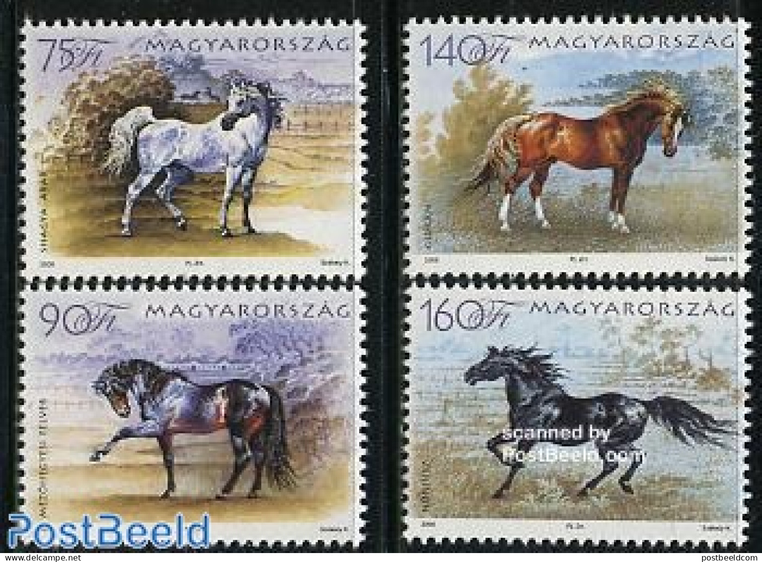 Hungary 2006 Horses 4v, Mint NH, Nature - Horses - Unused Stamps