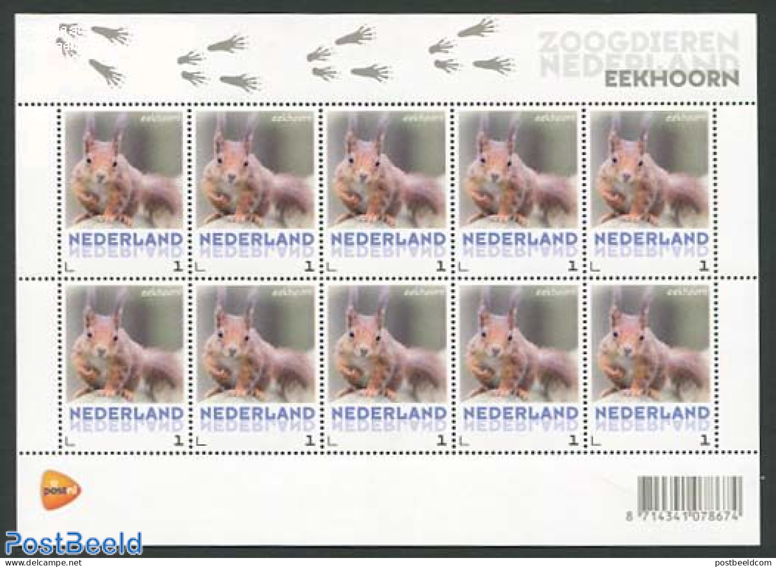 Netherlands 2013 Squirrel M/s, Mint NH, Nature - Animals (others & Mixed) - Ungebraucht