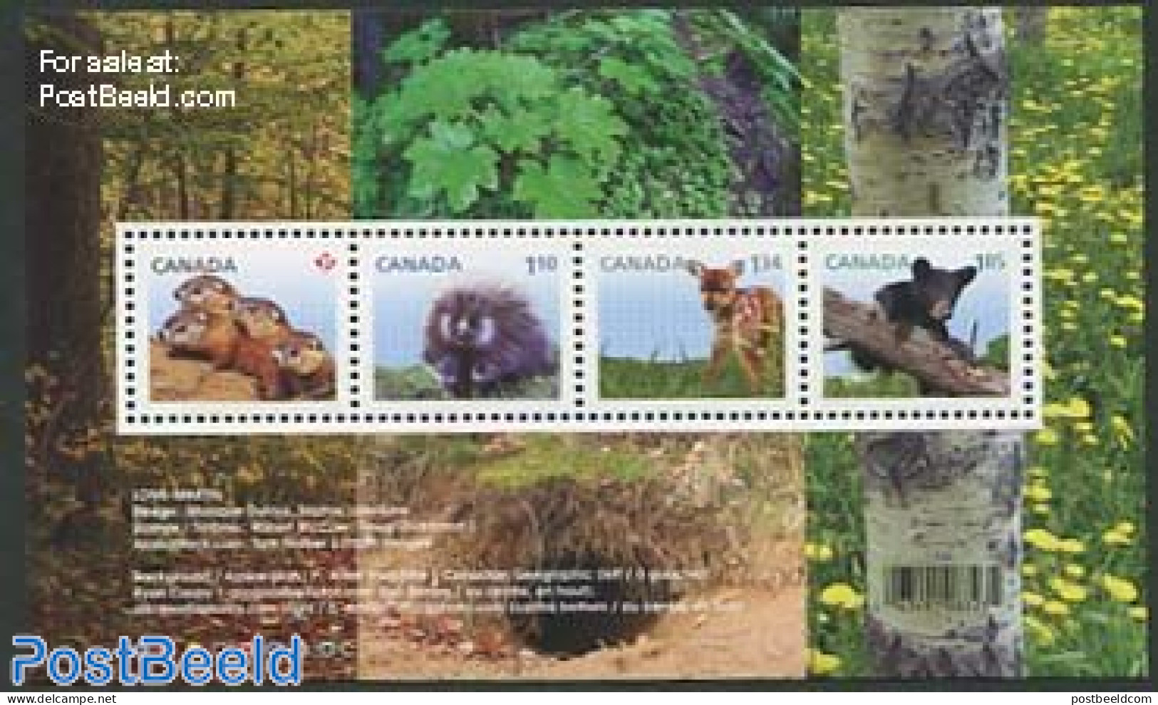 Canada 2013 Young Wild Animals S/s, Mint NH, Nature - Animals (others & Mixed) - Bears - Deer - Unused Stamps
