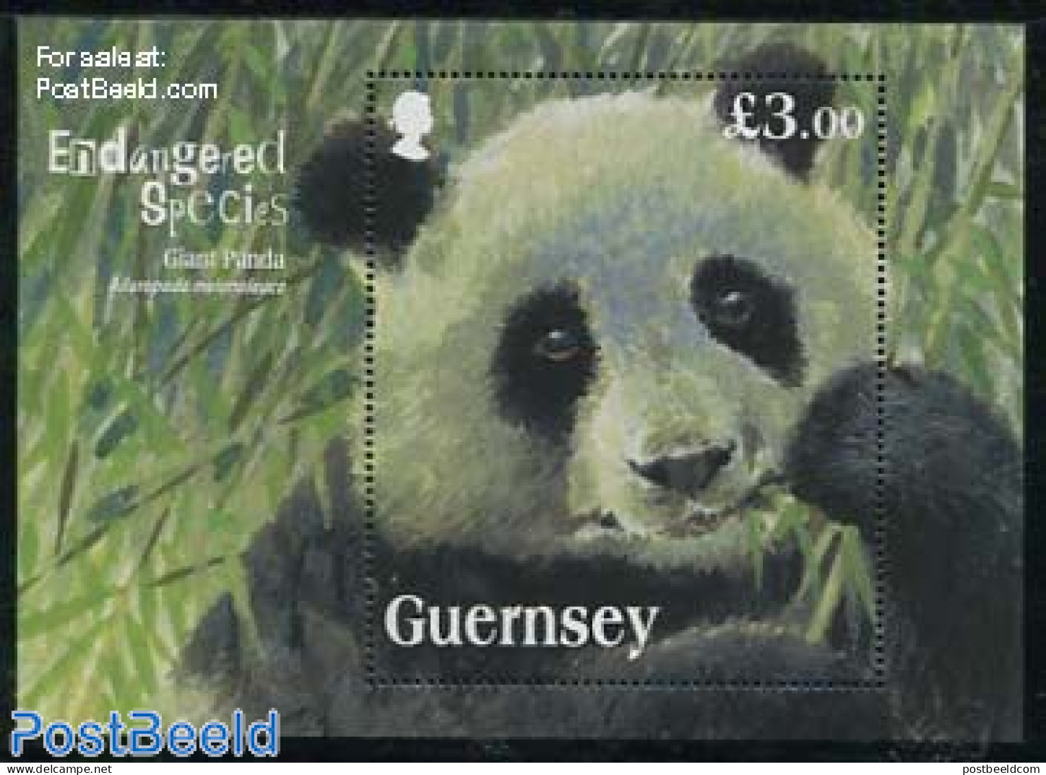 Guernsey 2013 Endangered Species, Giant Panda S/s, Mint NH, Nature - Animals (others & Mixed) - Pandas - Guernesey