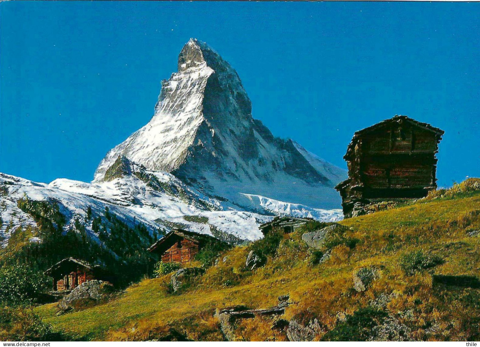 Winkelmatten Bei ZERMATT - Matterhorn  - Mt Cervin - Zermatt