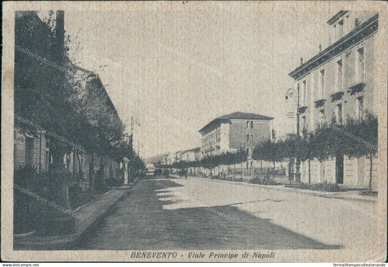 Cr565 Cartolina  Benevento Citta' Viale Principe Di Napoli 1936 Campania - Benevento