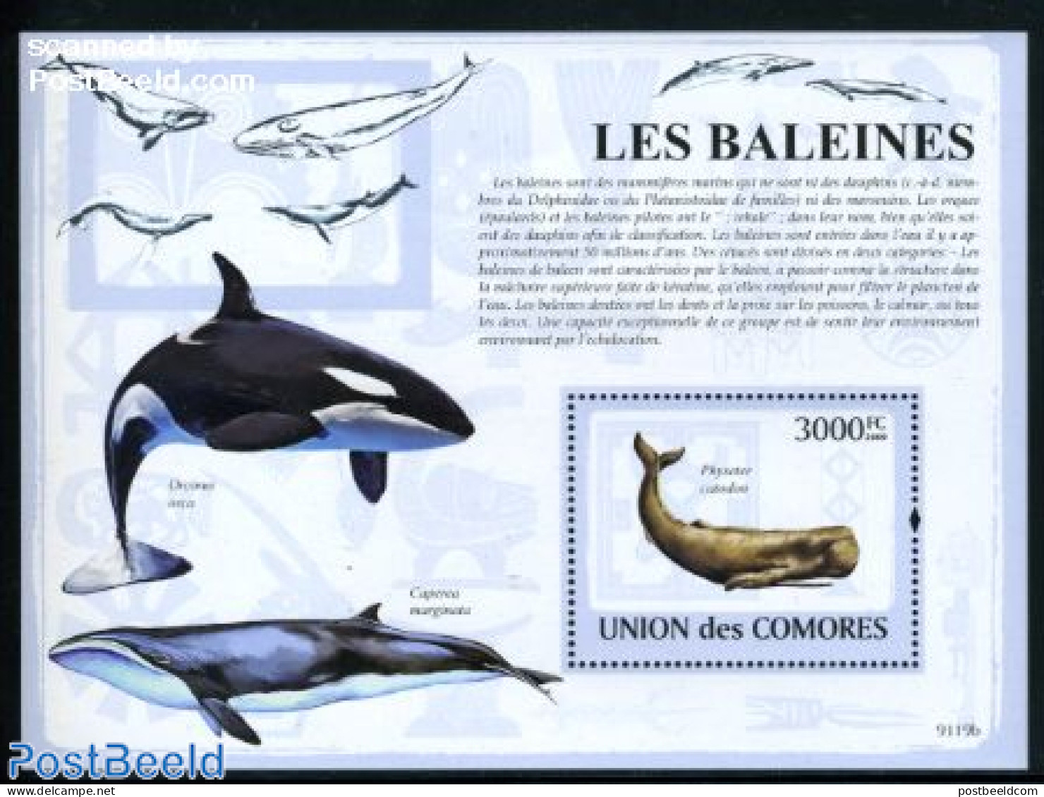 Comoros 2009 Whales S/s, Mint NH, Nature - Sea Mammals - Comores (1975-...)