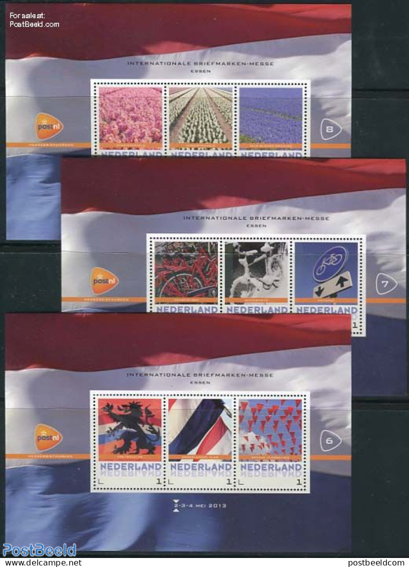 Netherlands - Personal Stamps TNT/PNL 2013 Briefmarkenmesse Essen 3 S/s, Mint NH, History - Nature - Sport - Flags - F.. - Radsport