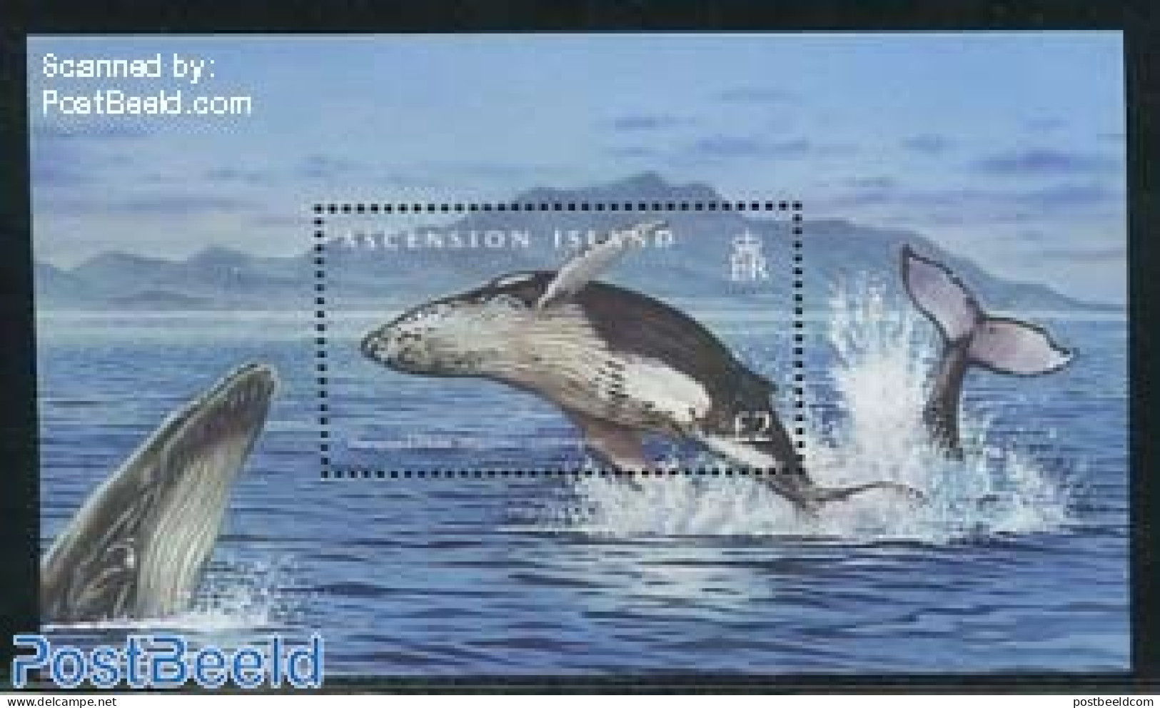 Ascension 2009 Whale S/s, Mint NH, Nature - Sea Mammals - Ascension (Ile De L')