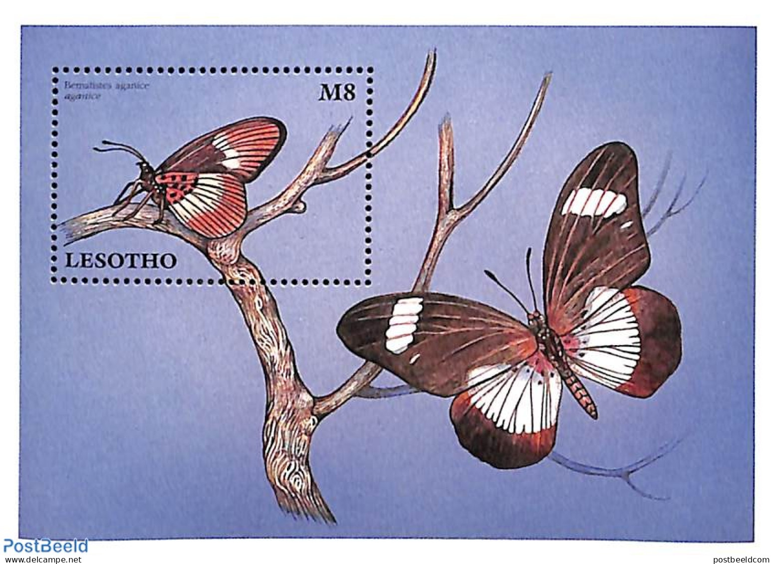 Lesotho 1997 Bematistes Aganice S/s, Mint NH, Nature - Butterflies - Lesotho (1966-...)