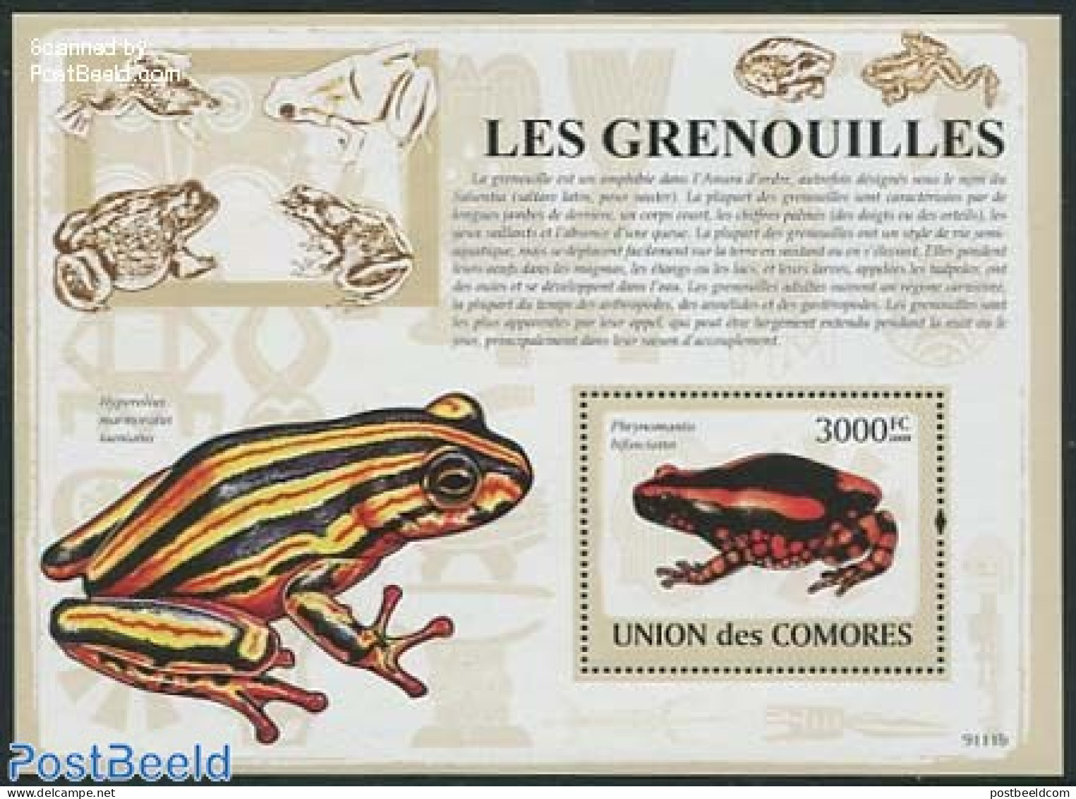 Comoros 2009 Frogs S/s, Mint NH, Nature - Frogs & Toads - Isole Comore (1975-...)