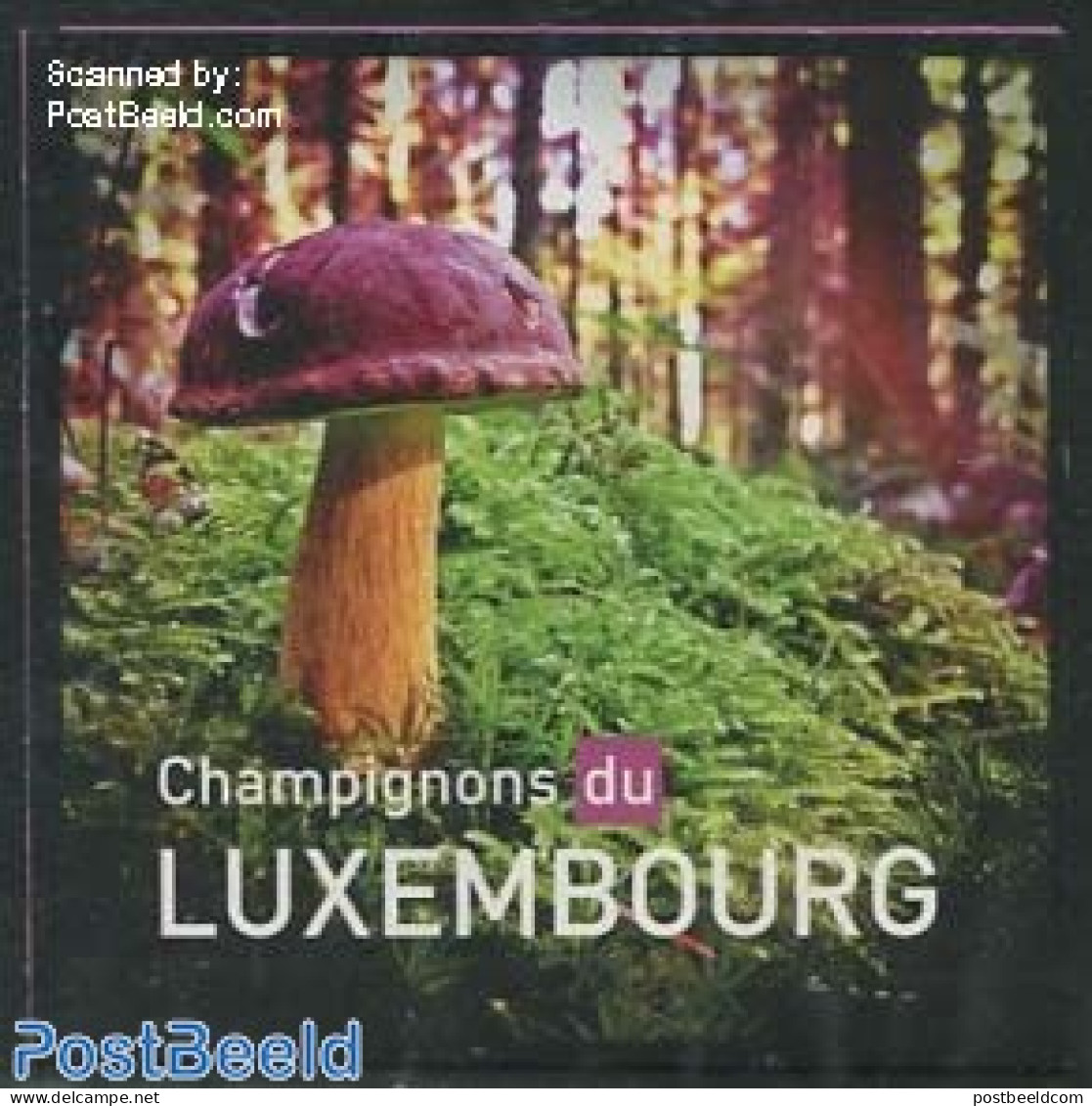 Luxemburg 2013 Mushrooms Booklet, Mint NH, Nature - Mushrooms - Stamp Booklets - Neufs