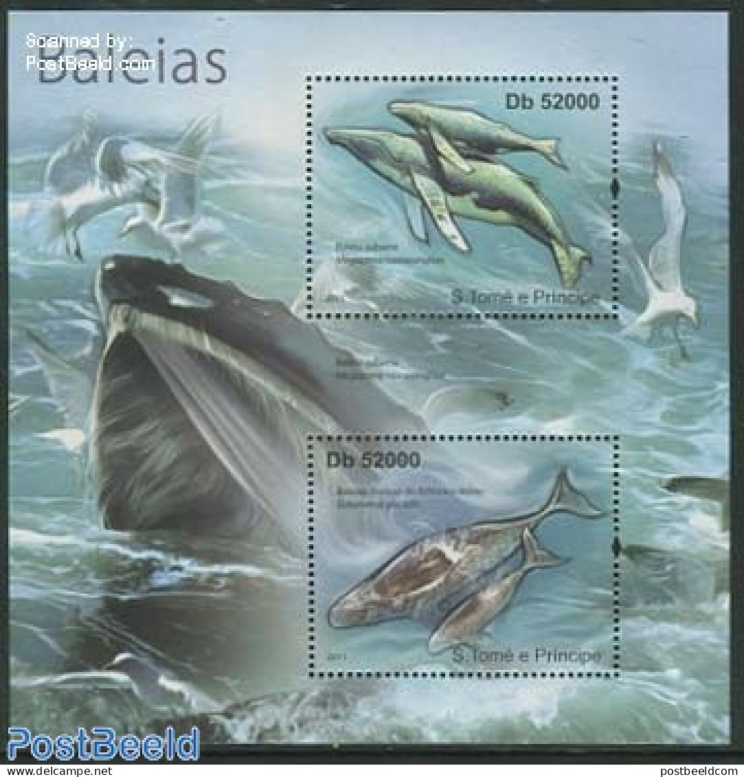 Sao Tome/Principe 2011 Whales S/s, Mint NH, Nature - Sea Mammals - Sao Tome And Principe