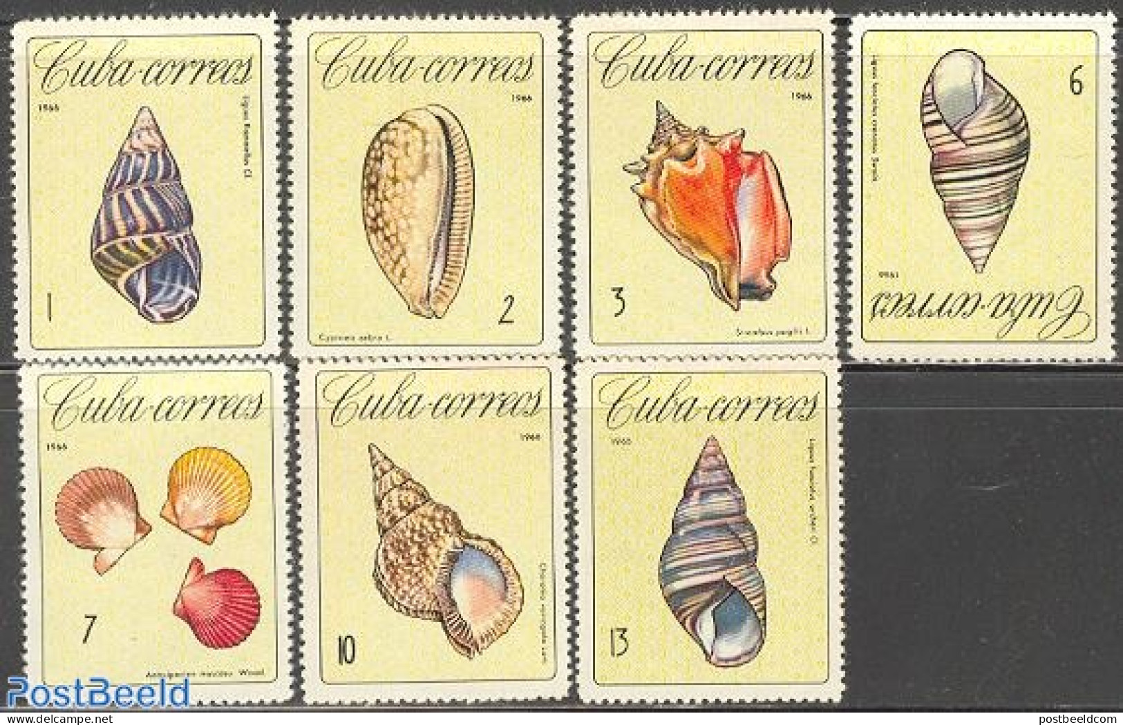 Cuba 1966 Shells 7v, Mint NH, Nature - Shells & Crustaceans - Nuevos
