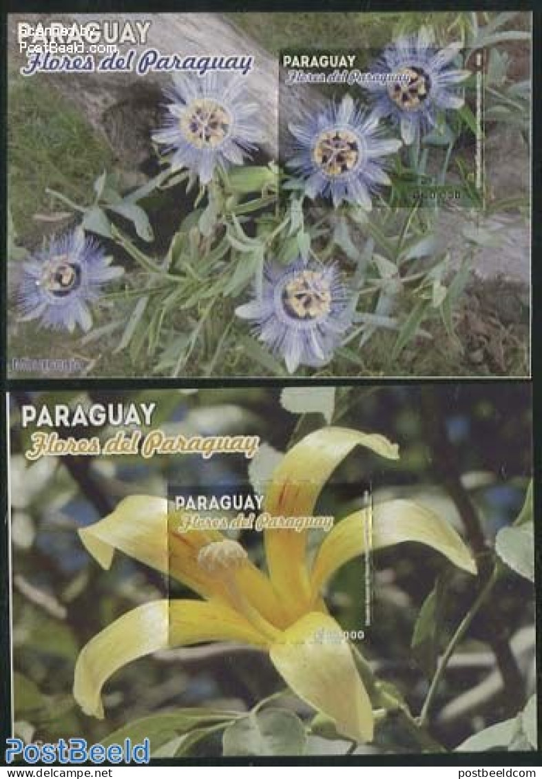 Paraguay 2013 Flowers 2 S/s, Mint NH, Nature - Flowers & Plants - Paraguay