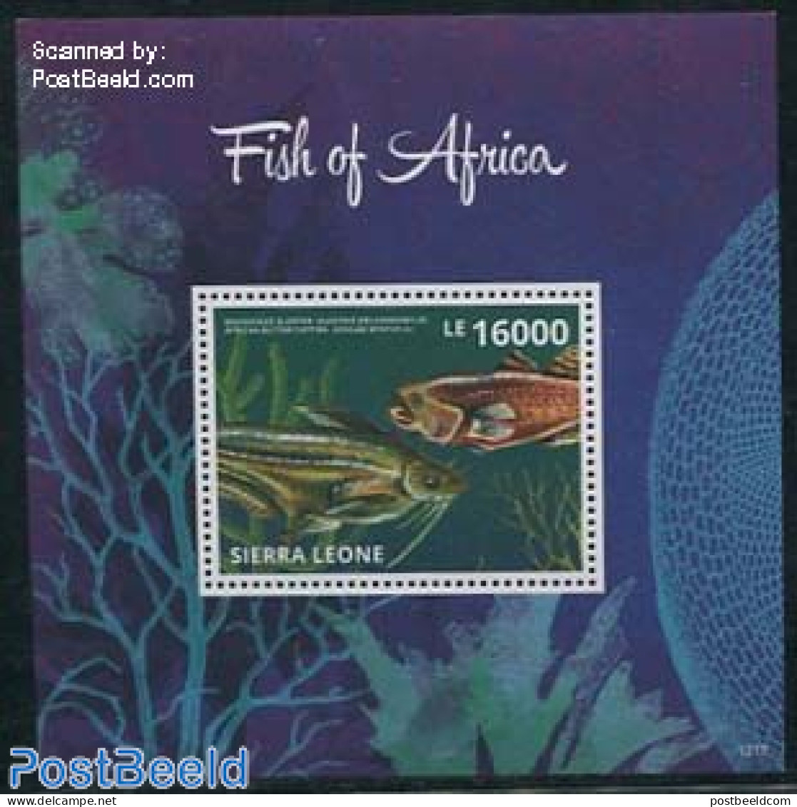 Sierra Leone 2013 Fish Of Africa S/s, Mint NH, Nature - Fish - Peces