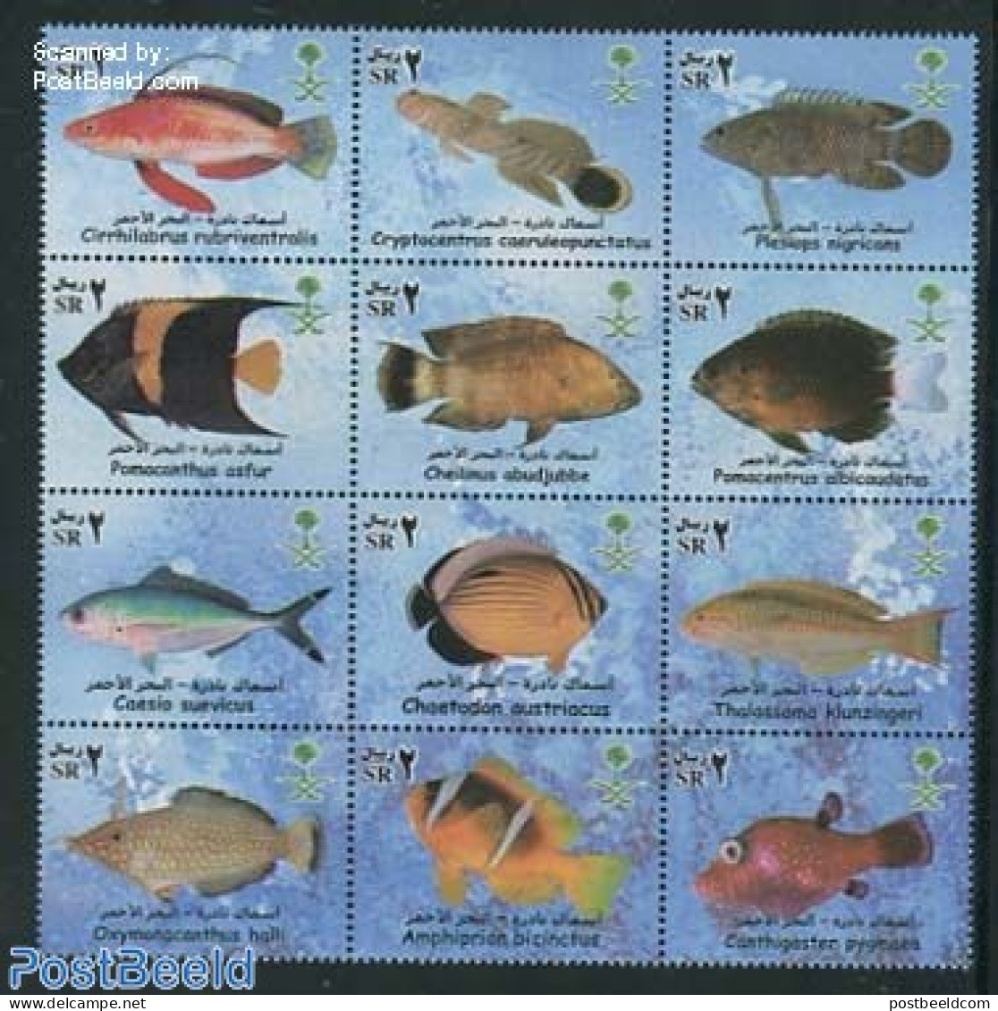 Saudi Arabia 2003 Fish 12v, Mint NH, Nature - Fish - Fishes