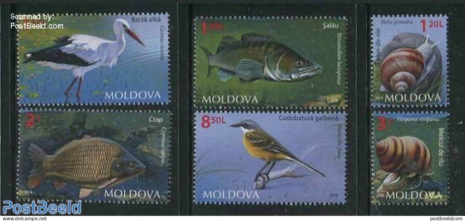 Moldova 2014 Moldovan Fauna 6v, Mint NH, Nature - Animals (others & Mixed) - Birds - Fish - Peces