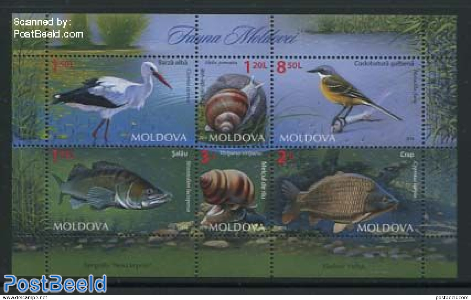 Moldova 2014 Moldovan Fauna S/s, Mint NH, Nature - Animals (others & Mixed) - Birds - Fish - Poissons