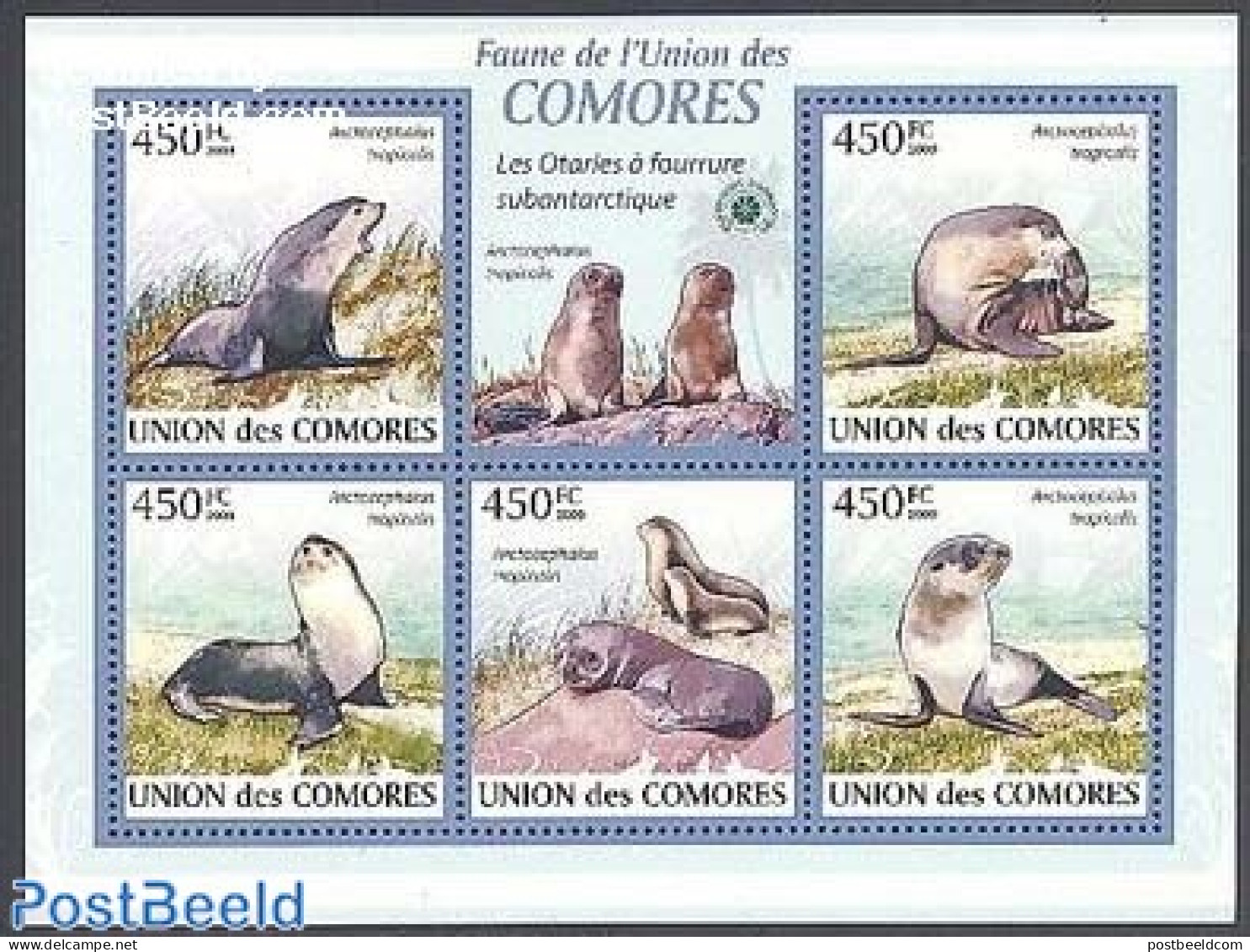 Comoros 2009 Seals 5v M/s, Mint NH, Nature - Sea Mammals - Comores (1975-...)