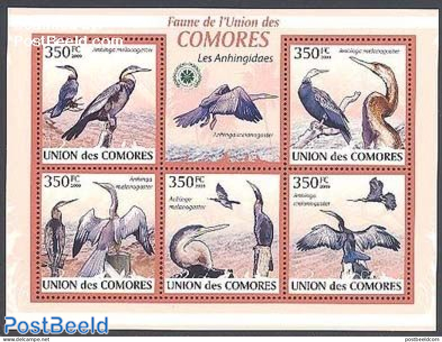 Comoros 2009 Albatross 5v M/s, Mint NH, Nature - Birds - Isole Comore (1975-...)