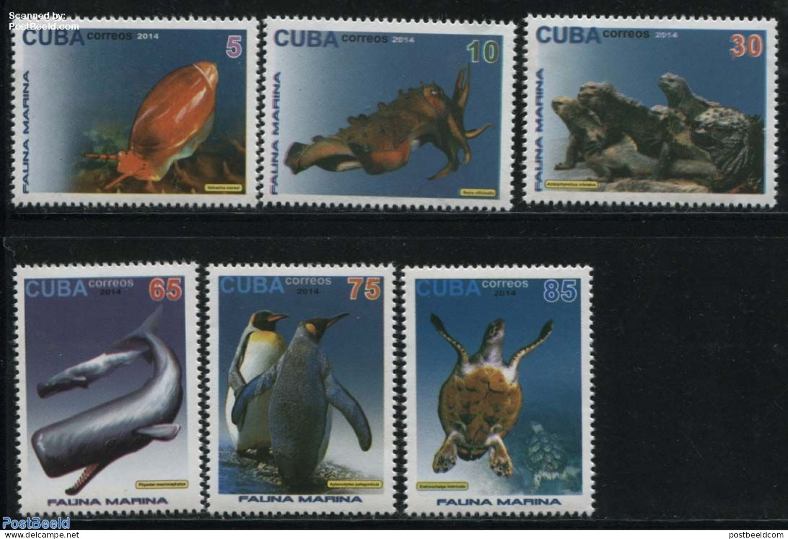 Cuba 2014 Marine Life 6v, Mint NH, Nature - Birds - Fish - Penguins - Reptiles - Sea Mammals - Turtles - Unused Stamps