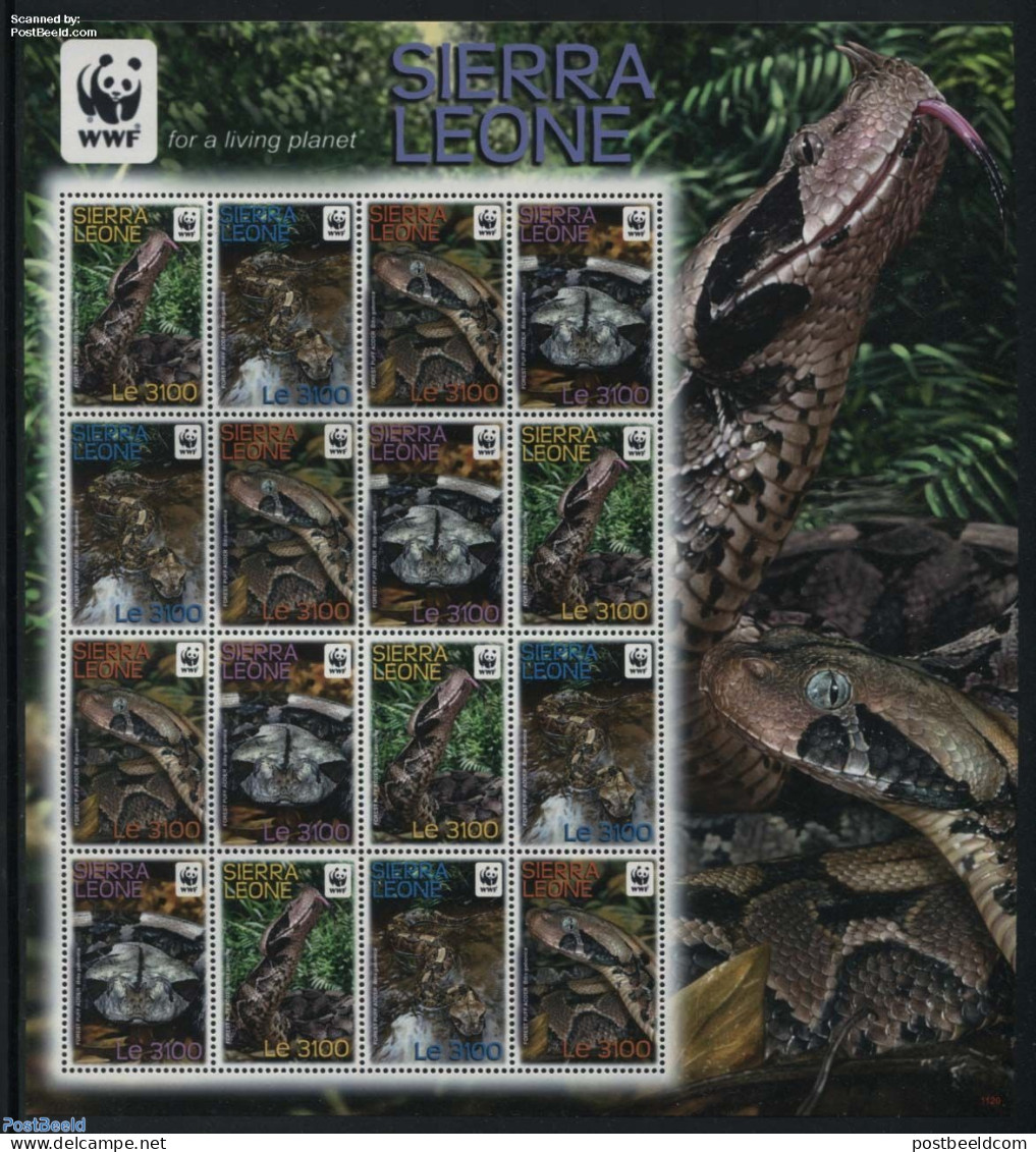 Sierra Leone 2011 WWF, Snakes M/s With 4 Sets, Mint NH, Nature - Reptiles - Snakes - World Wildlife Fund (WWF) - Autres & Non Classés