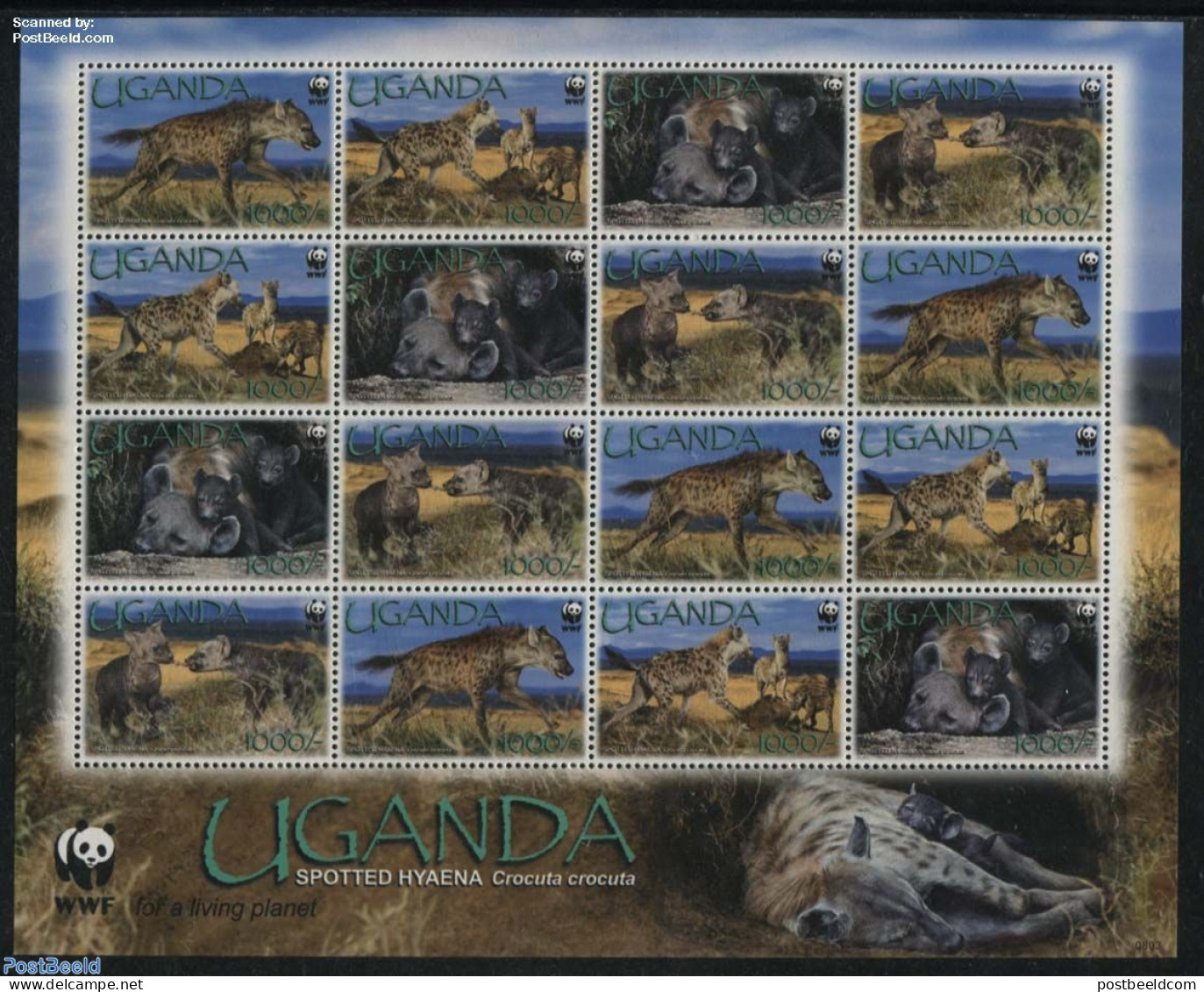Uganda 2008 WWF, Spotted Hyena M/s With 4 Sets, Mint NH, Nature - Animals (others & Mixed) - World Wildlife Fund (WWF) - Otros & Sin Clasificación