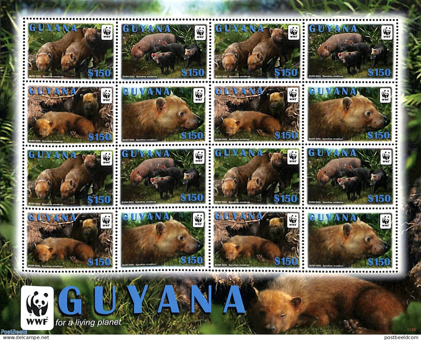 Guyana 2011 WWF, Bush Dog M/s With 4 Sets, Mint NH, Nature - World Wildlife Fund (WWF) - Guyane (1966-...)