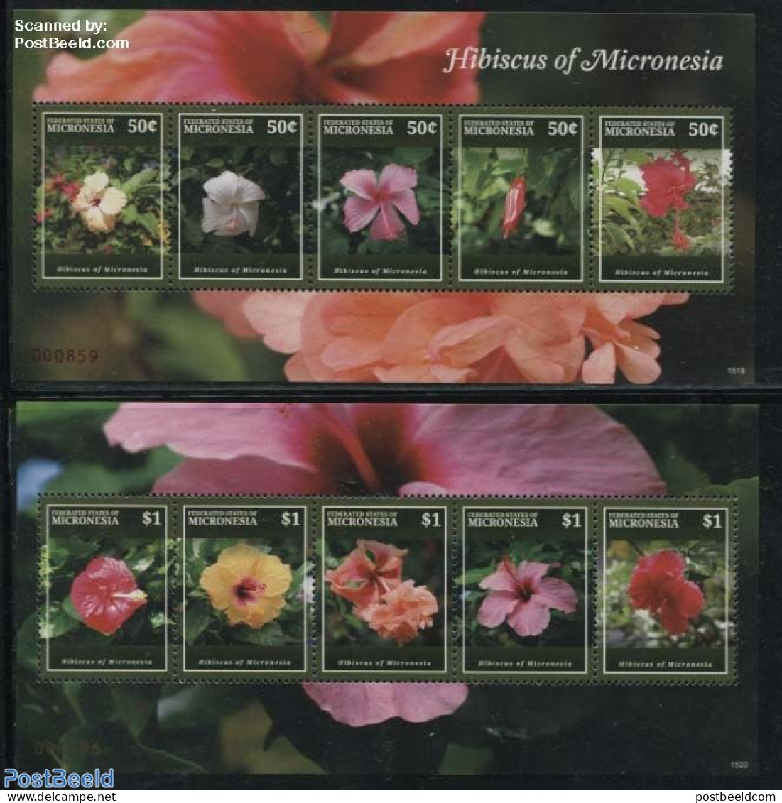 Micronesia 2015 Hibiscus 2 S/s, Mint NH, Nature - Flowers & Plants - Mikronesien